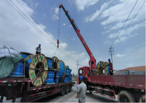 202409021725258028951115.png image.png